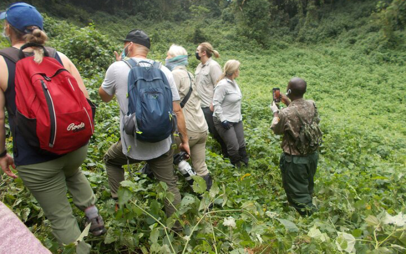 Guide to gorilla trekking in Rwanda, Rwanda Tourism Information, Visit Rwanda Tips and Info, Travel to Rwanda, how to travel rwanda, how much is rwanda safari, can i travel to rwanda from, what to do in rwanda, rwanda tourism activities, visa to rwanda, rwanda visa and how to get it, is rwanda safe to travel, what to expect on rwanda safari, tours and safaris in rwanda, rwanda africa tours