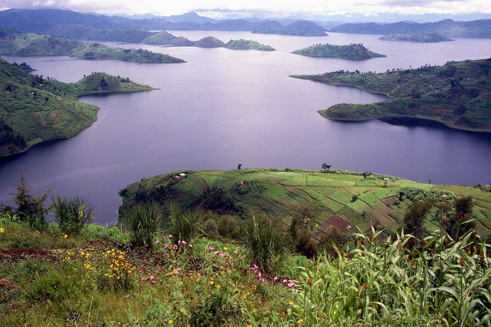 1 day twin lakes tour, 1 day Twin Lakes of Burera and Ruhondo Tour, 1 day twin lakes rwanda, 1 day twin lakes safari rwanda, 1 day burera and ruhondo lakes, 1 day burera ruhondo lakes safari, 1 day twin lakes adventure, 1 day lakes adventure rwanda, 1 day twin lakes hiking adventure, 1 day twin lakes hiking in rwanda, 1 day twin lakes boat ride, 1 day lake adventure i rwanda, musanze caves