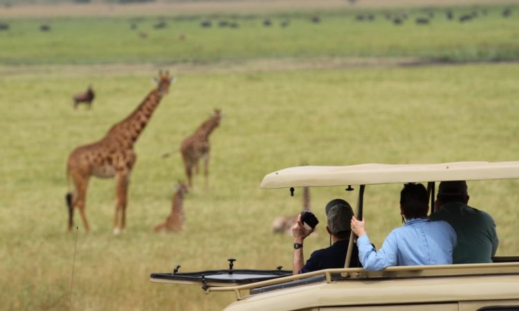 Rwanda and Uganda Gorilla Safari Travel Tips