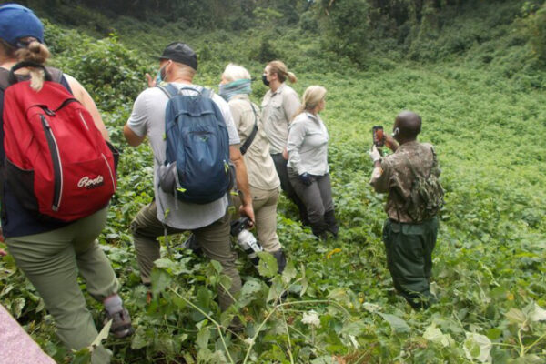 Hiking Trips and Treks in Rwanda, Photography Adventure in Rwanda