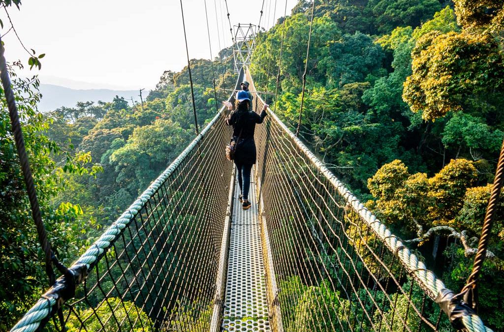 How Difficult Is the Nyungwe Canopy Walk