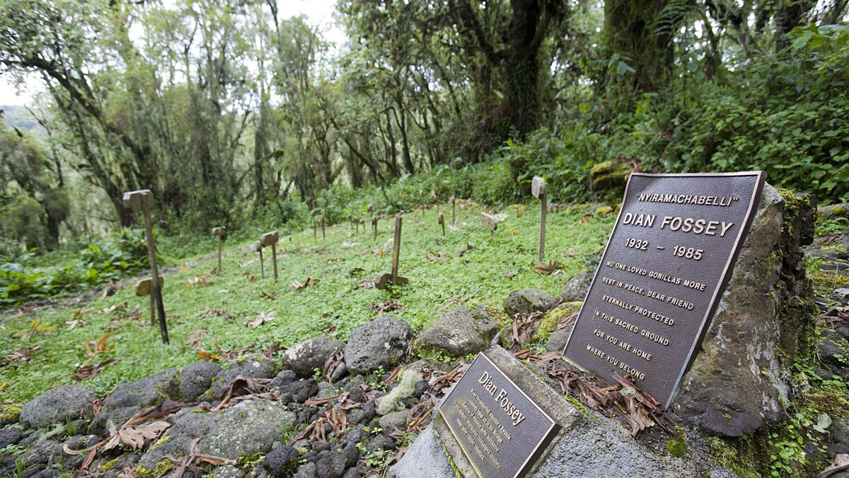 karisoke research center, dian fossey tomb, hike to karisoke research center