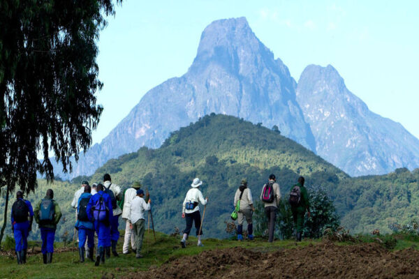 Best Rwanda Safari Itineraries (3, 5, 7, 10 Days)