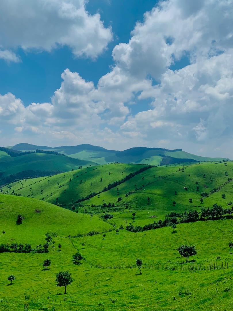 Gorongosa National Park Safari with Gorilla Trekking in Rwanda