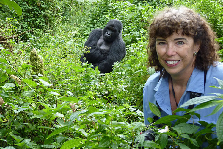 Gorilla Safari Rwanda and Uganda for Solo Travelers 