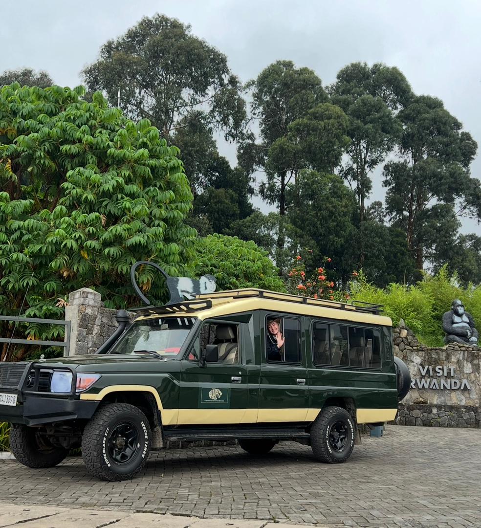  Gorilla Families in Volcanoes National Park 