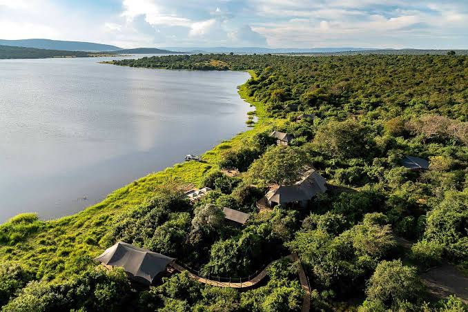 Akagera National Park Safari