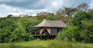 Luxury Safari Lodges in Akagera