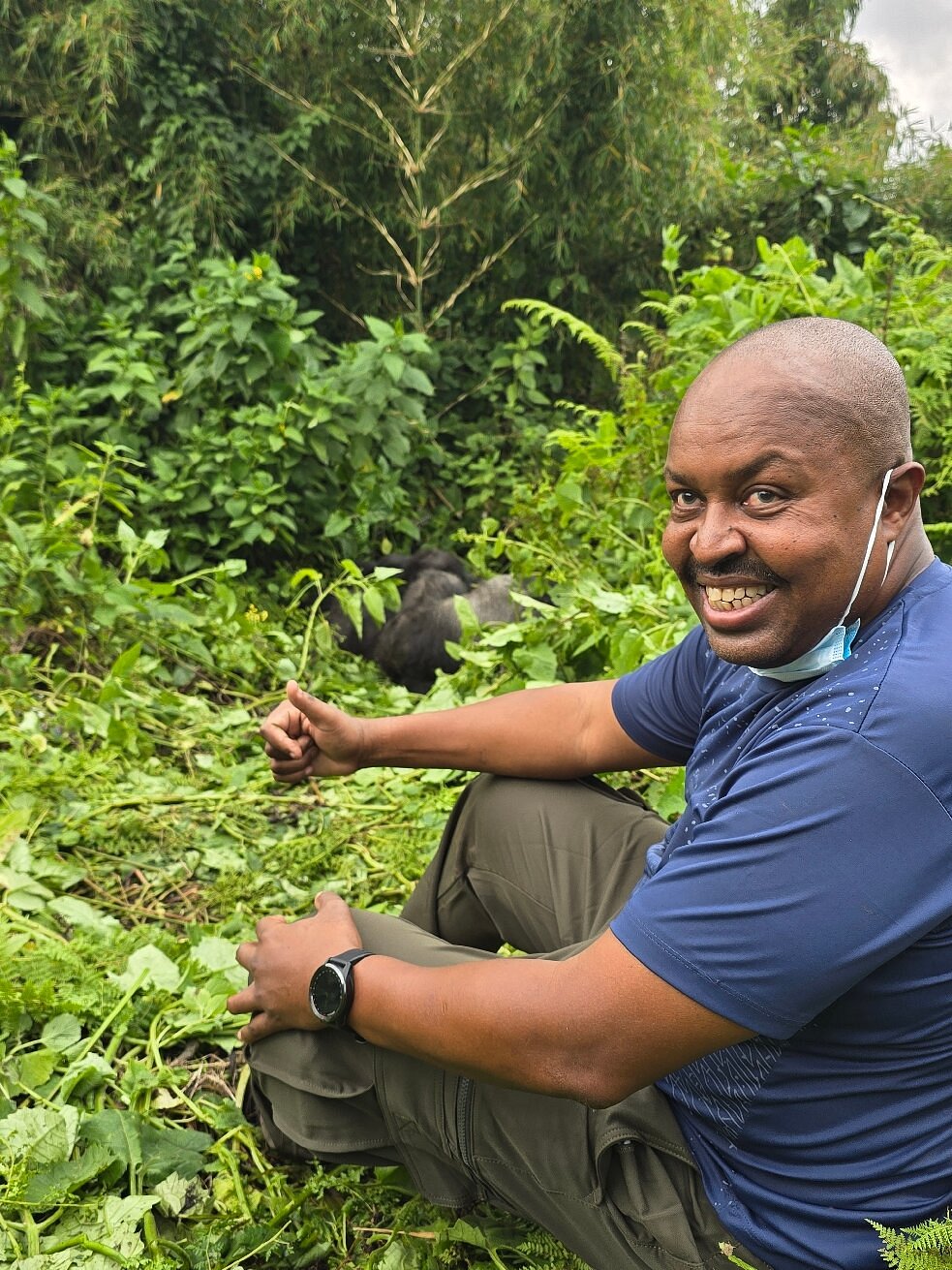 What Happens If You Don’t See Gorillas in Rwanda? Refund Policy Explained