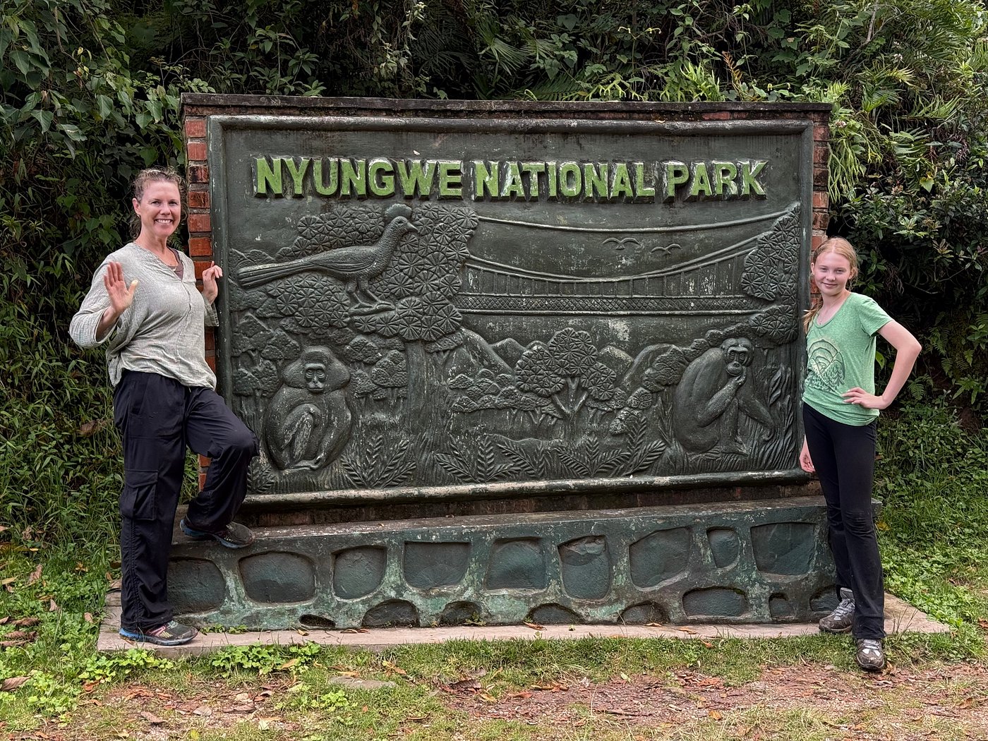 Chimpanzee Trekking in Nyungwe Forest – Complete Guide