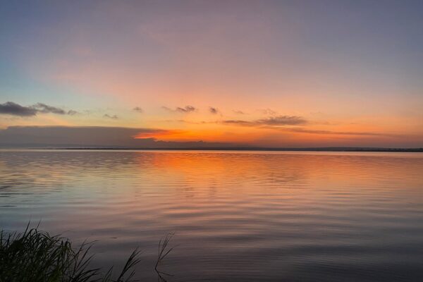 Best Photography Locations in Rwanda for Safari Lovers