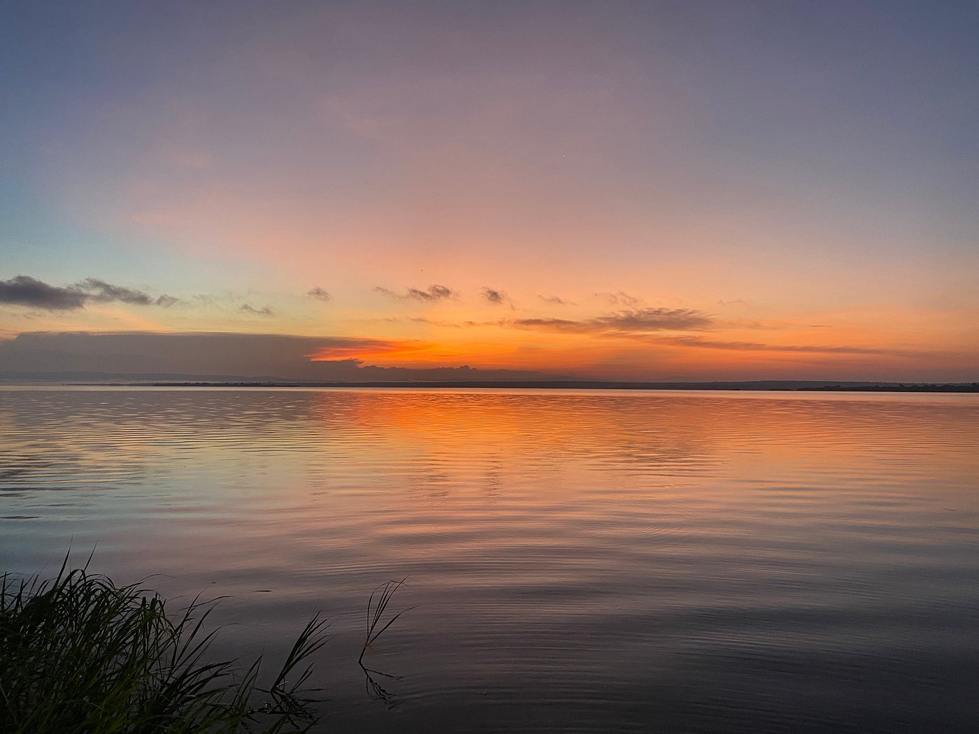 Best Photography Locations in Rwanda for Safari Lovers