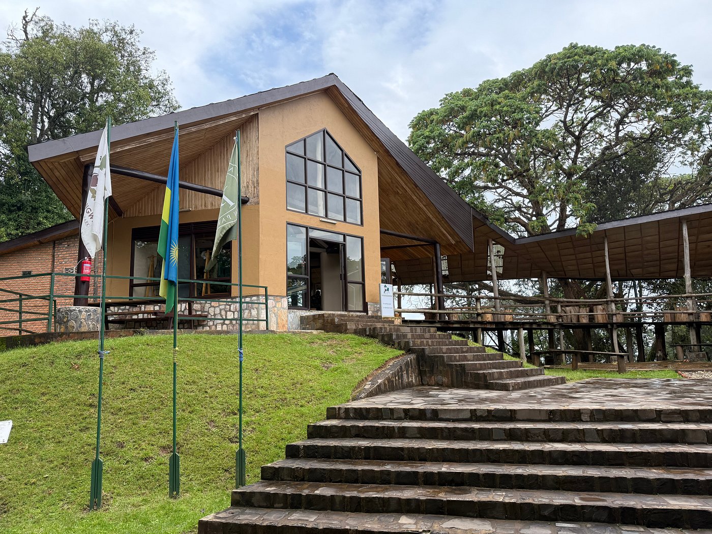 Complete Guide to Nyungwe Forest National Park & Chimp Trekking