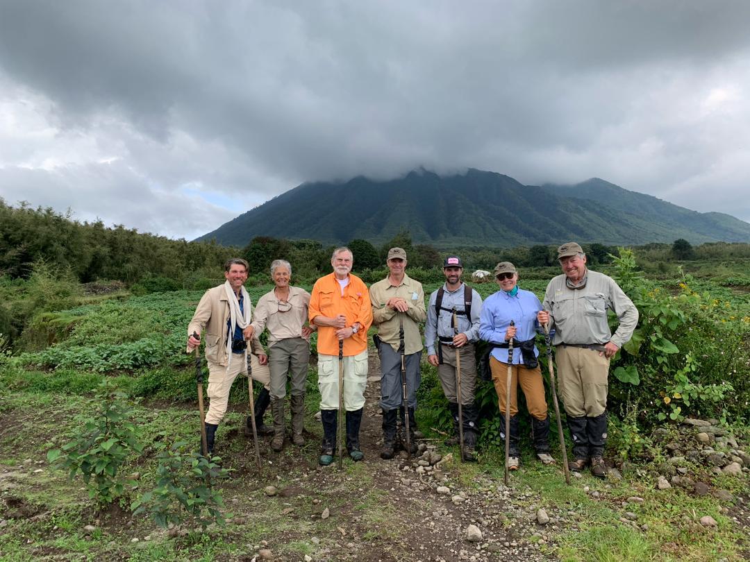 Can You See Gorillas in Rwanda Without Hiking Long Distances?