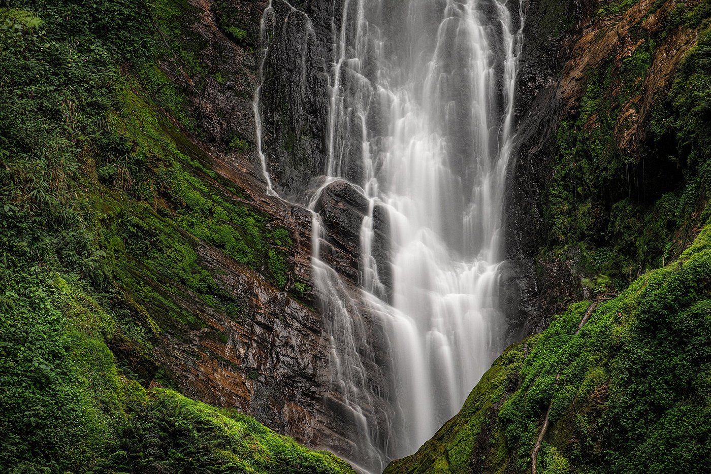 Best Hiking Trails in Nyungwe National Park – Top Routes & Difficulty