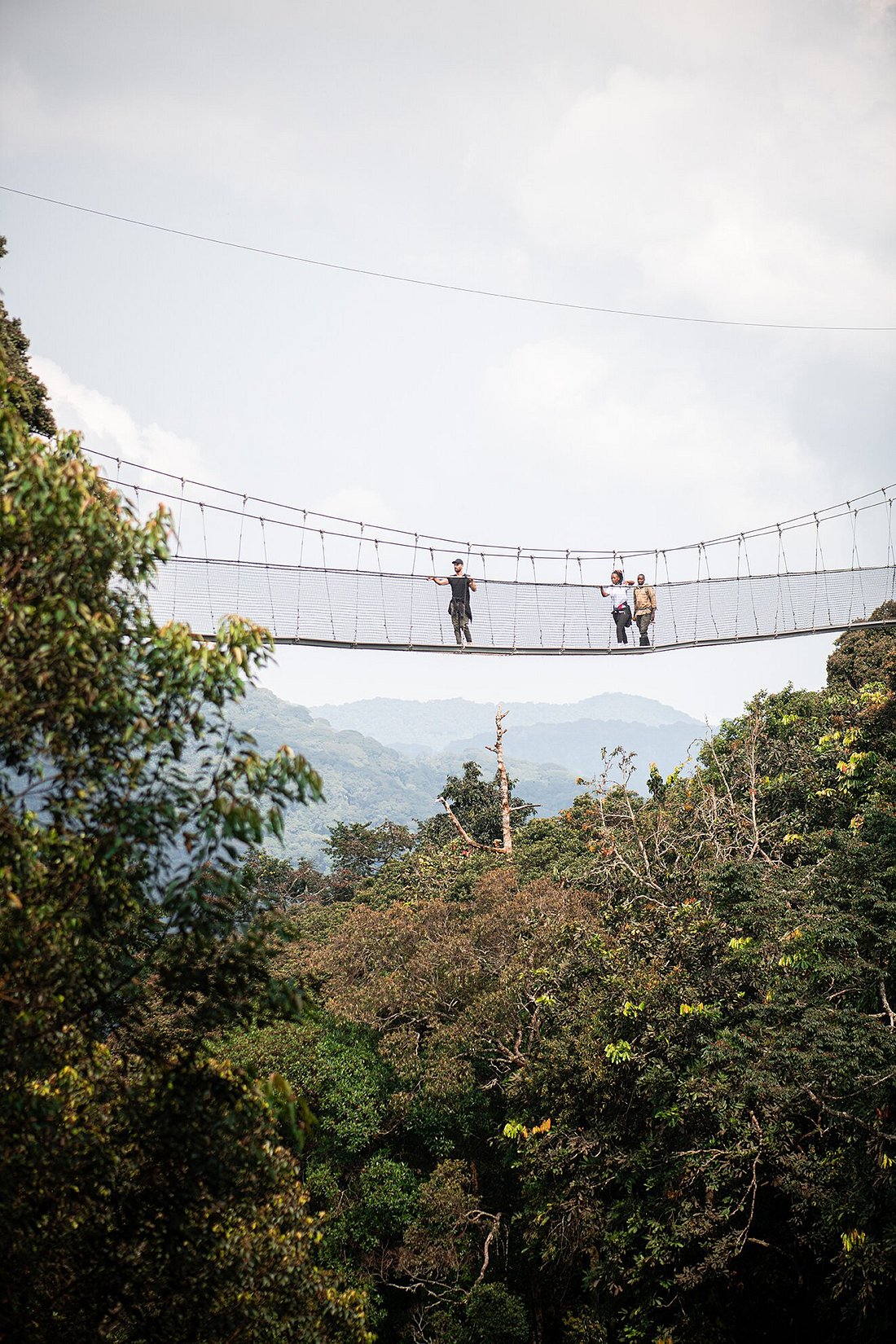 Nyungwe vs Volcanoes: Which is Best for Primates?