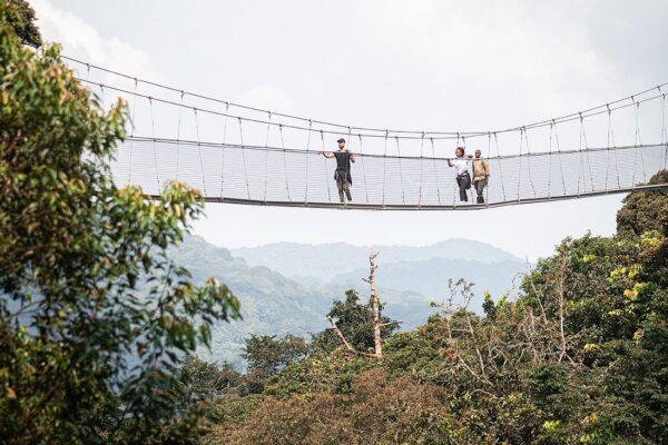 Nyungwe Canopy Walk Experience – What to Expect & Tips