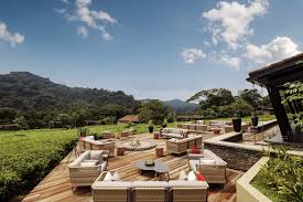 Luxury Lodges in Nyungwe Forest – Where to Stay in Comfort