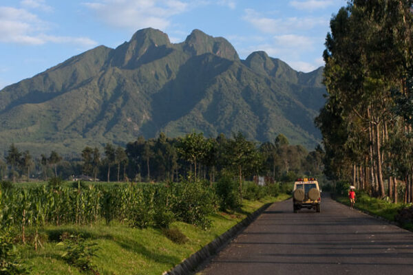 Rwanda Safari in 4 Days – What Can You See?