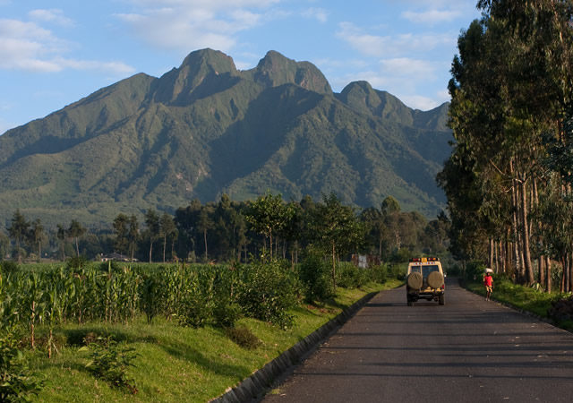 Rwanda Safari in 4 Days – What Can You See?