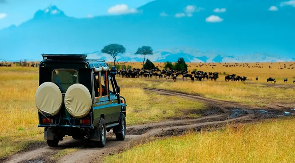 Best scenic drives in Rwanda for safari travelers