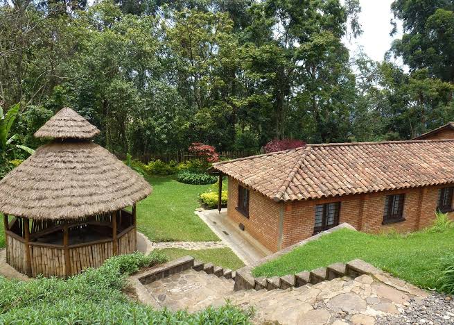 Best Lodges Near Nyungwe for Luxury Travelers