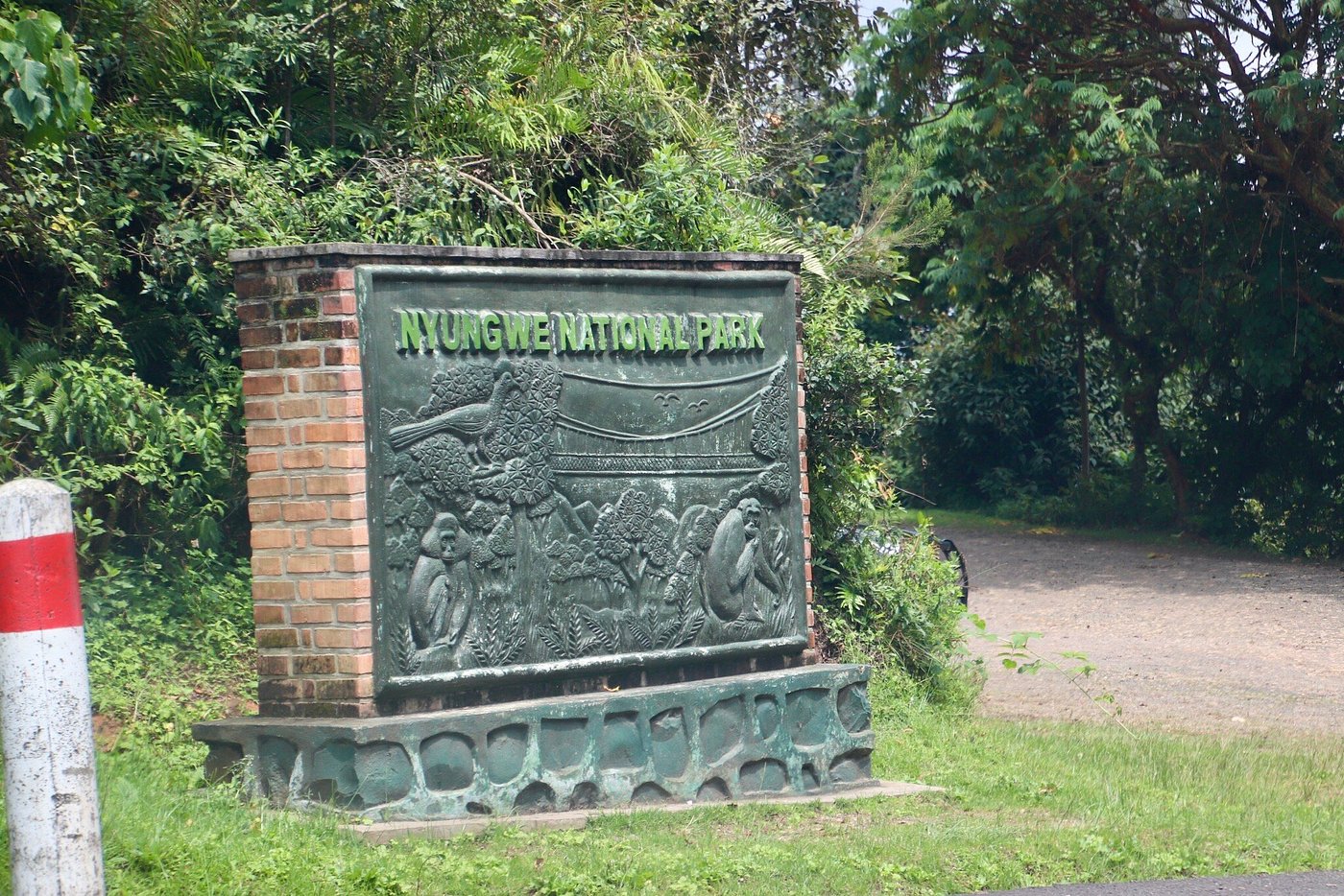 Cost of Nyungwe Safaris – Permits, Lodges & Travel Budget