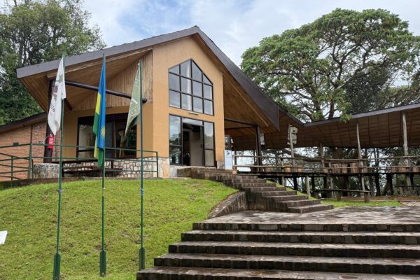 Nyungwe Forest National Park Entry Fees & Permit Costs