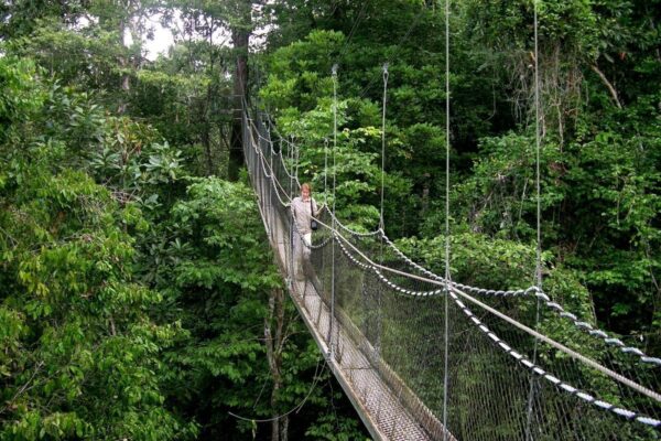 Nyungwe Forest Rainy Season Travel Guide