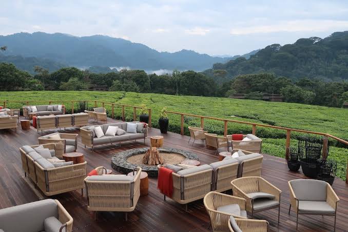 Best Lodges Near Nyungwe for Luxury Travelers