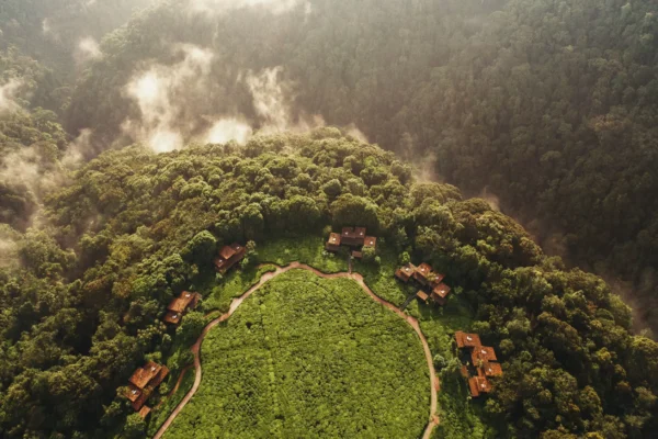 Best Lodges Near Nyungwe for Luxury Travelers