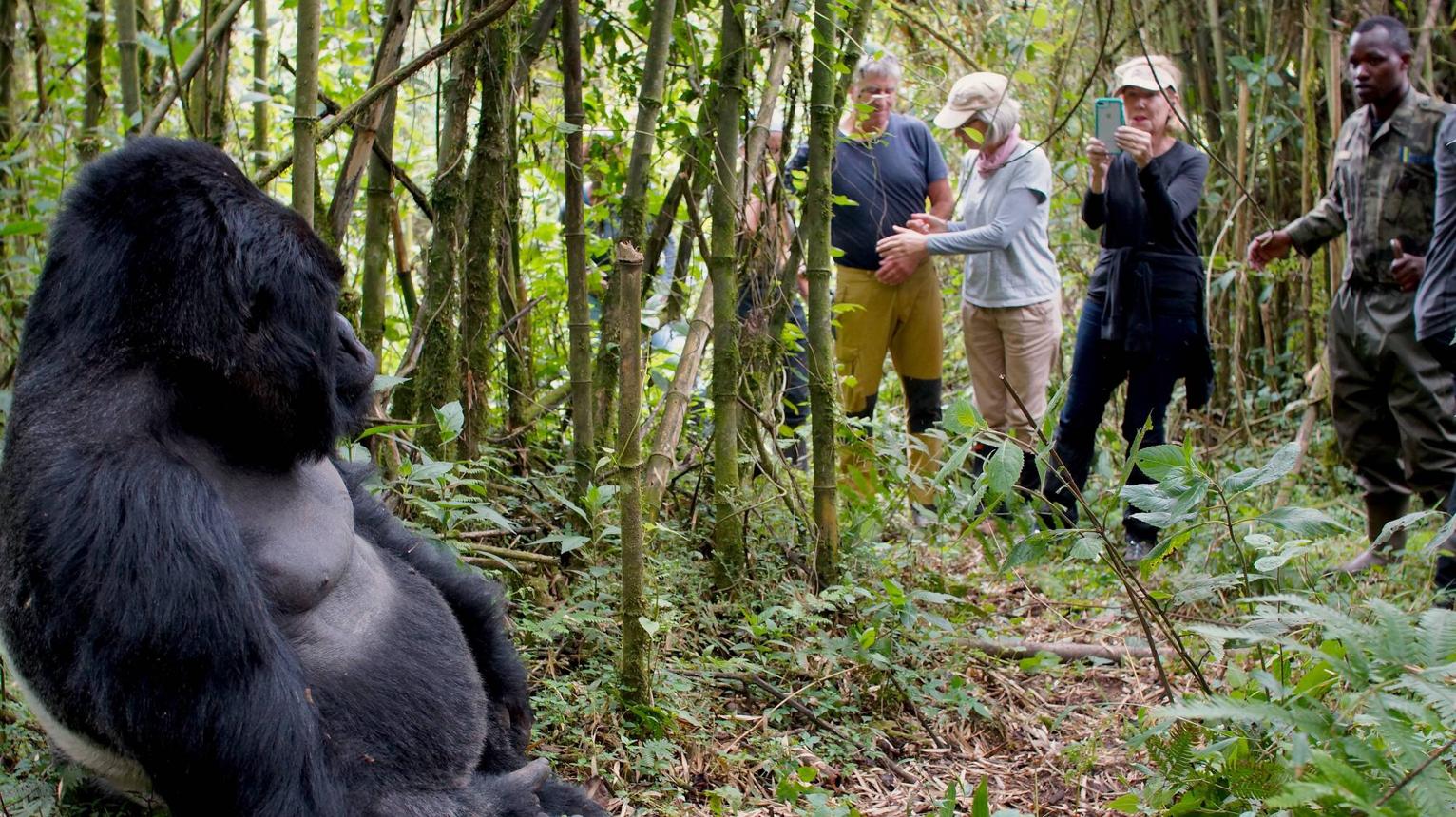 Rwanda Travel Safety Guide 2026