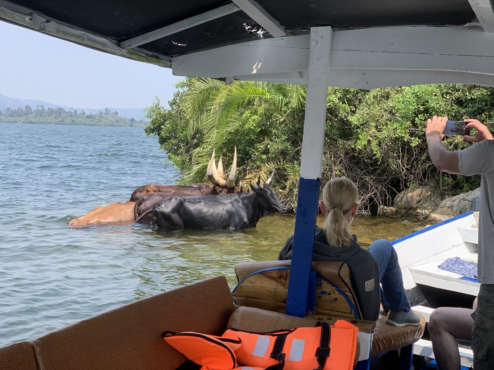 Affordable Rwanda Safari Packages Under $3,000