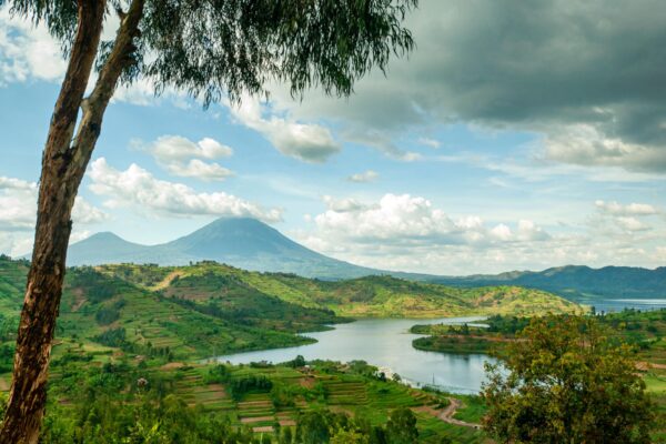 Best Way to Combine Rwanda and Uganda Gorilla Trekking