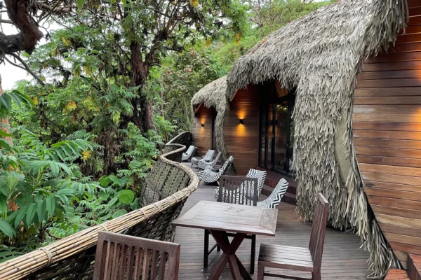 Rwanda and Uganda Luxury Safari Lodges Guide
