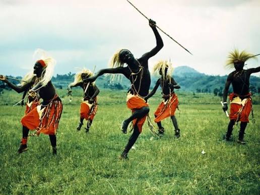 7-Day Gorilla Safari Rwanda and Uganda Travel Guide