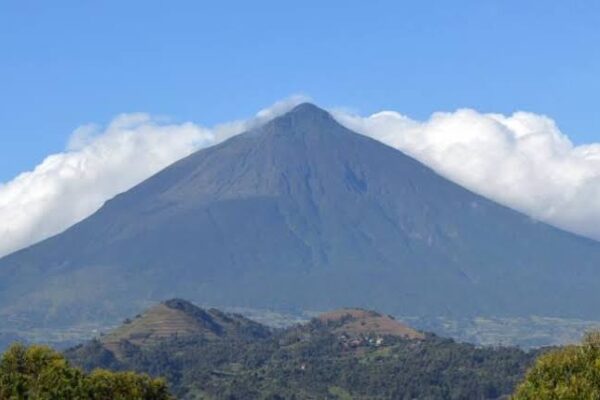 Best Time for Gorilla Safaris in Rwanda and Uganda