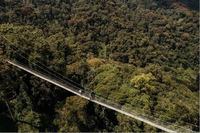Canopy Walkway in Nyungwe National Park