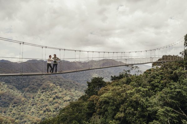 Adventurous Things to Do in Rwanda, ADVENTURES in rwanda, nyungwe adventures, canopy walkway adventures in rwanda, Canopy Walkway in Nyungwe National Park, nyungwe forest national park, zipline in nyungwe national park, travel to Rwanda in 2025–2026